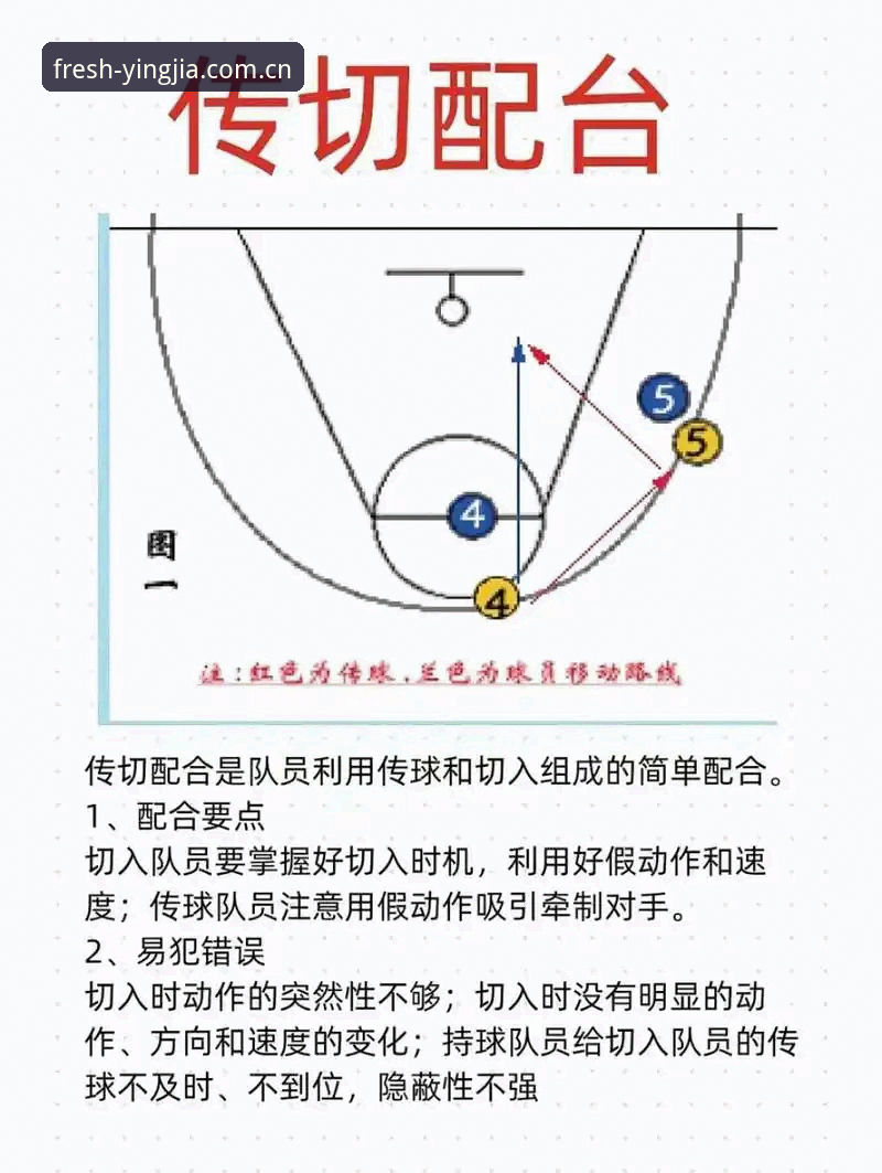 盈嘉体育APP篮球水位数据实战技巧：从入门到精通的决策指南